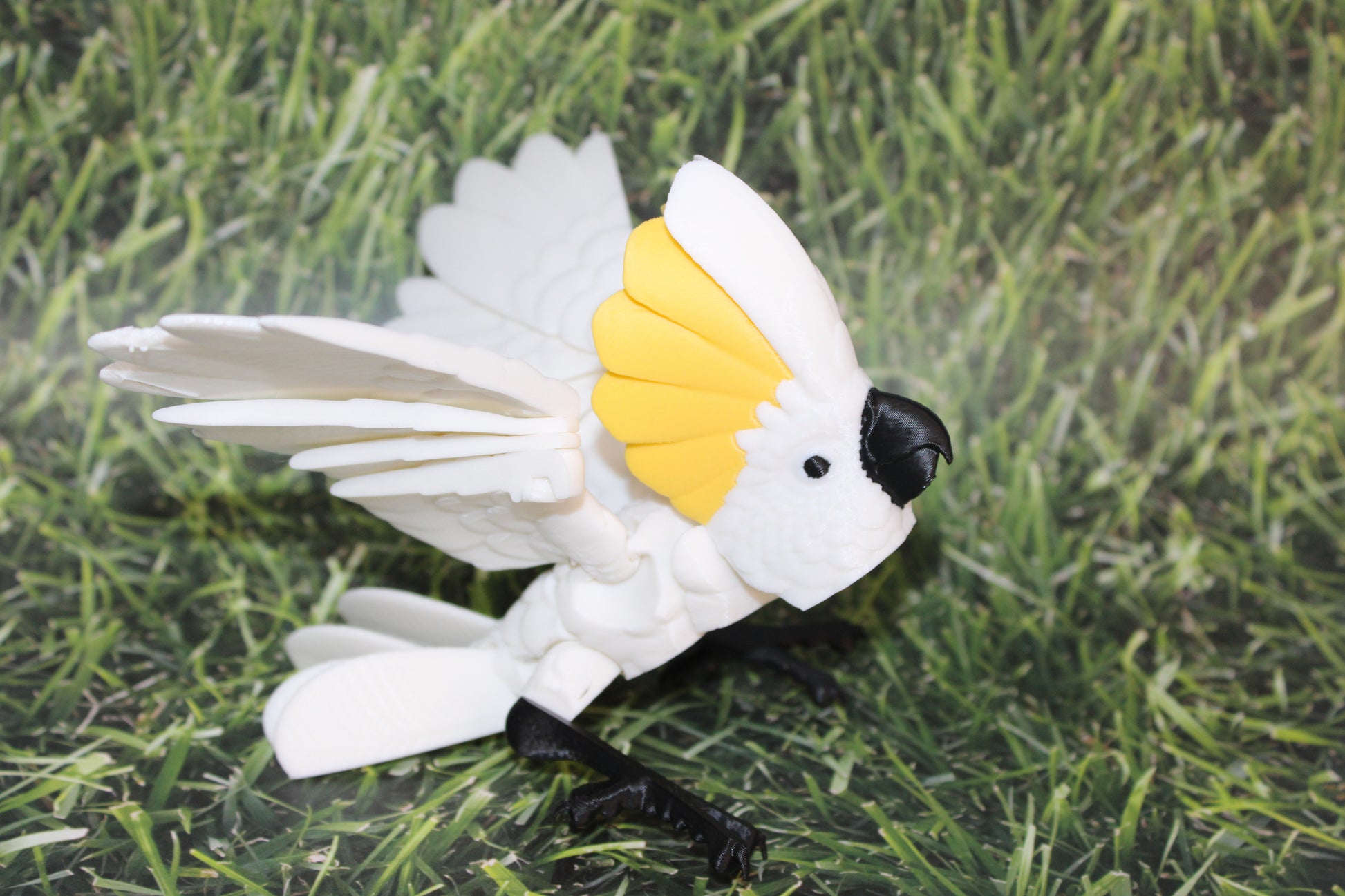 Cockatoo-3D Printed Articulated Flexi Fidget Figurine - Wonderland 3D Printing 