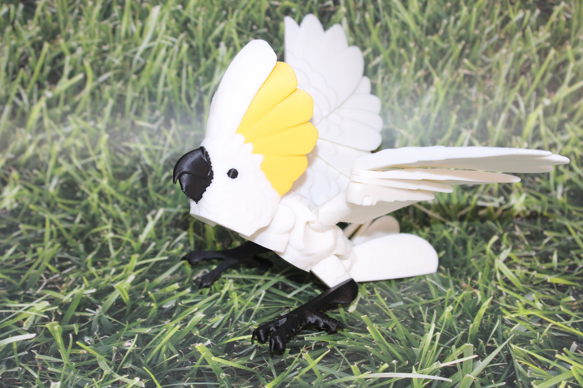 Cockatoo-3D Printed Articulated Flexi Fidget Figurine - Wonderland 3D Printing 