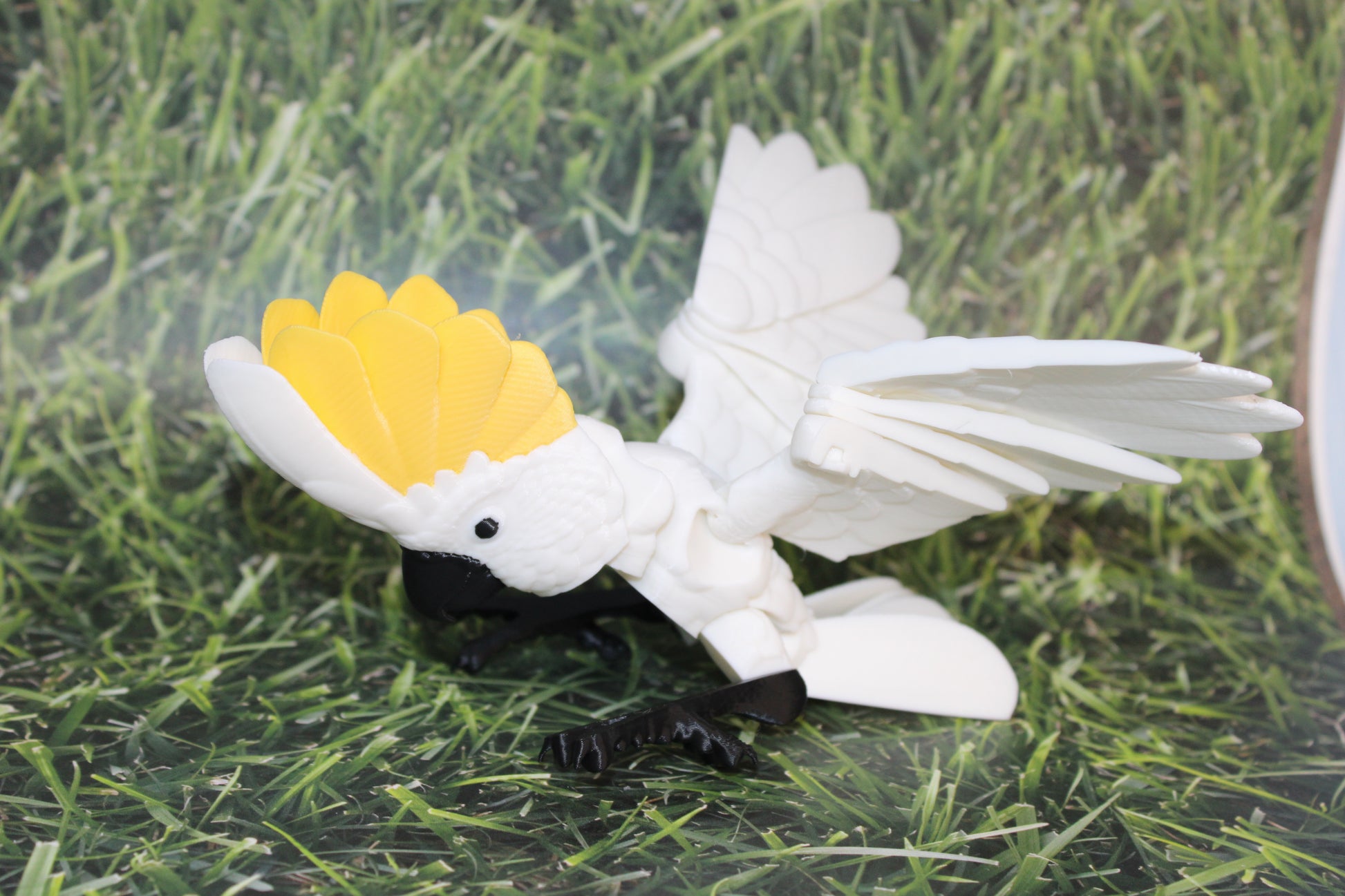 Cockatoo-3D Printed Articulated Flexi Fidget Figurine - Wonderland 3D Printing 
