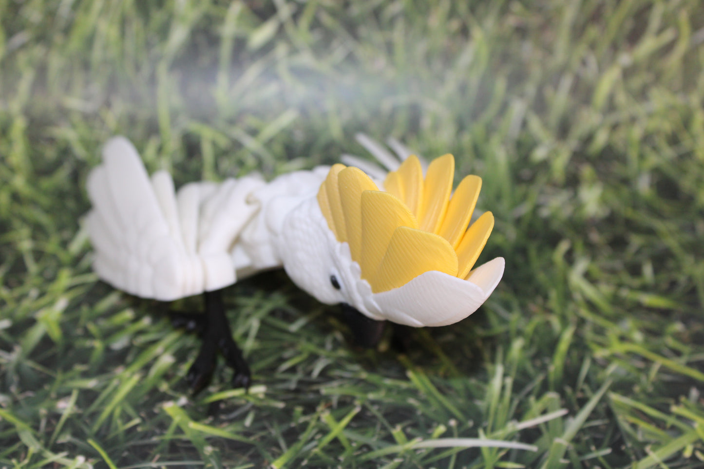 Cockatoo-3D Printed Articulated Flexi Fidget Figurine - Wonderland 3D Printing 