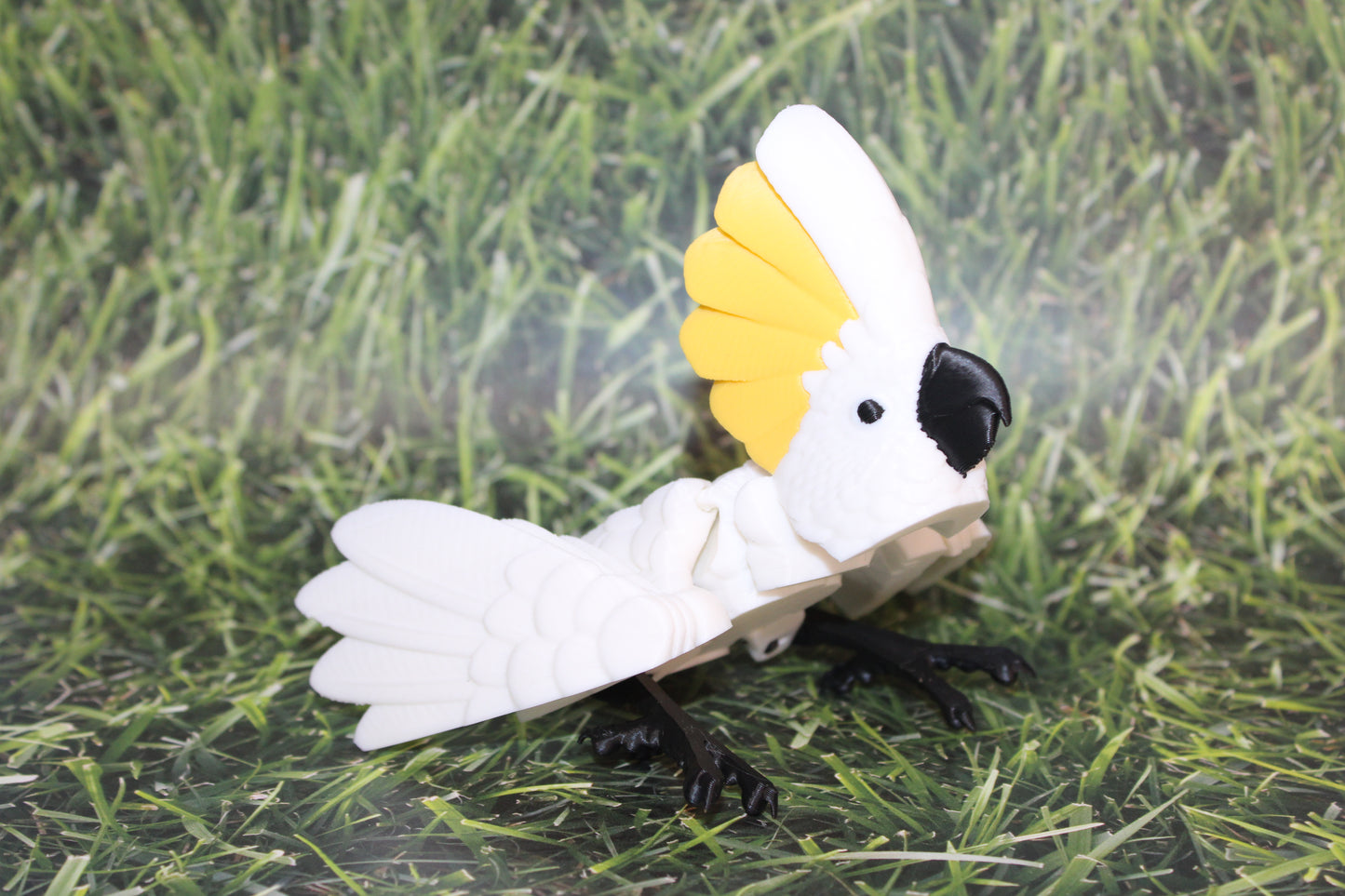 Cockatoo-3D Printed Articulated Flexi Fidget Figurine - Wonderland 3D Printing 