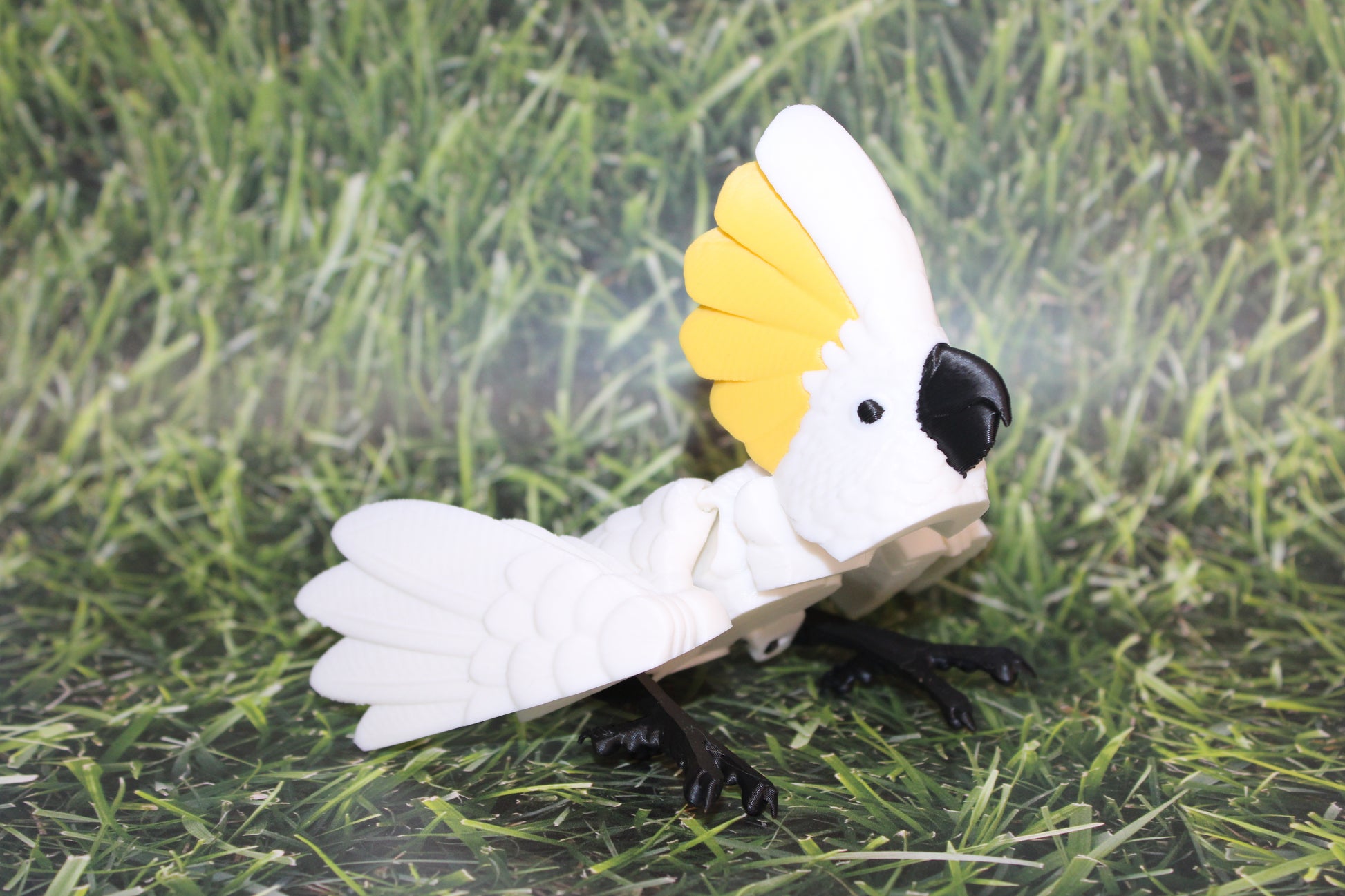 Cockatoo-3D Printed Articulated Flexi Fidget Figurine - Wonderland 3D Printing 