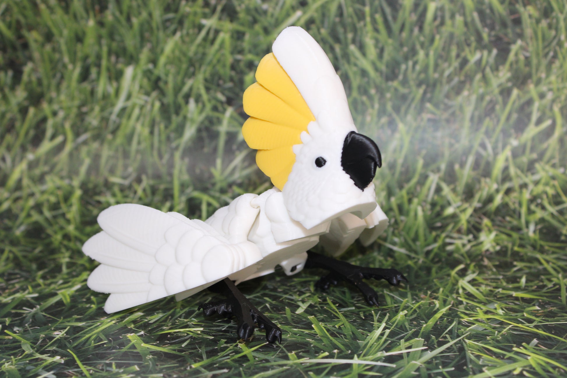 Cockatoo-3D Printed Articulated Flexi Fidget Figurine - Wonderland 3D Printing 