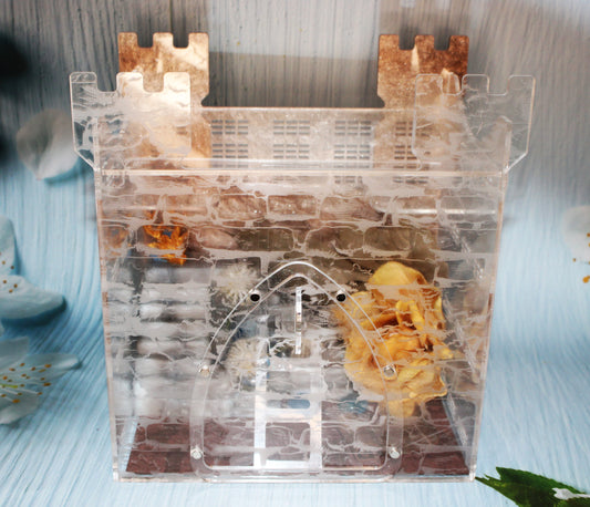 Fully Decorated Custom Jumping Spider Enclosure Castle 9x8x6" - Wonderland 3D Printing 