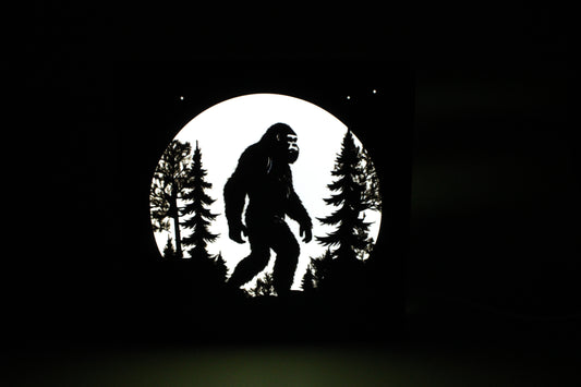 Light Boxes  3d Printed - Includes Led Light -Custom Options Available - Wonderland 3D Printing 
