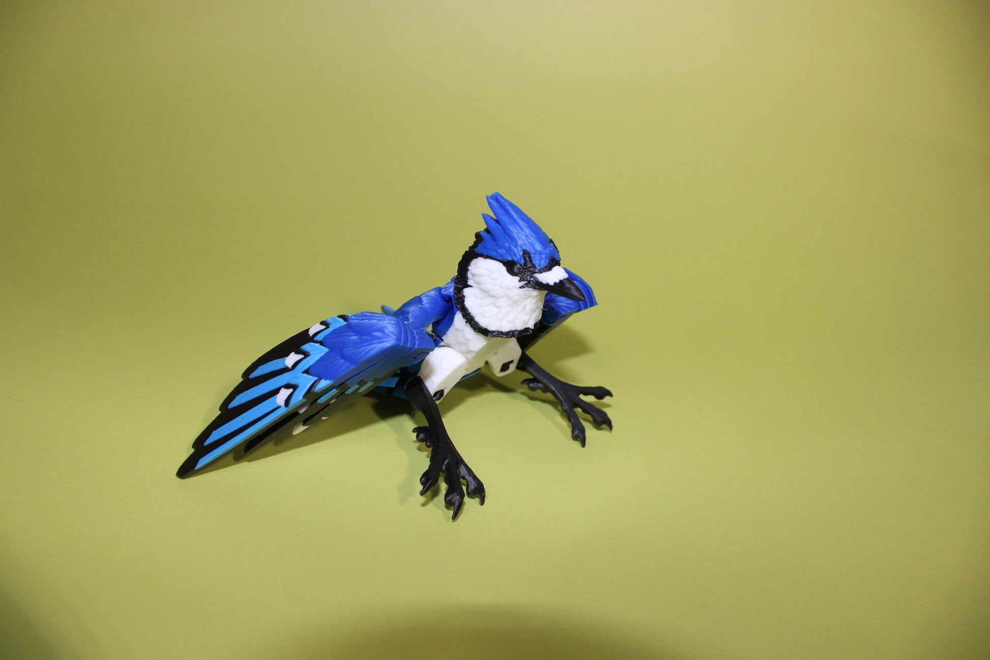 Blue Jay 5 inches x 8 in wingspan-3D Printed Articulated Flexi Fidget Figurine - Wonderland 3D Printing 