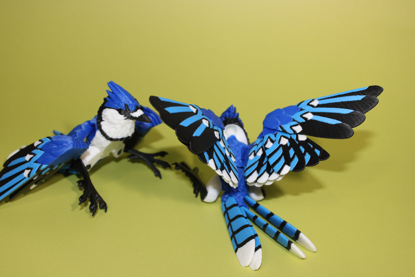 Blue Jay 5 inches x 8 in wingspan-3D Printed Articulated Flexi Fidget Figurine - Wonderland 3D Printing 