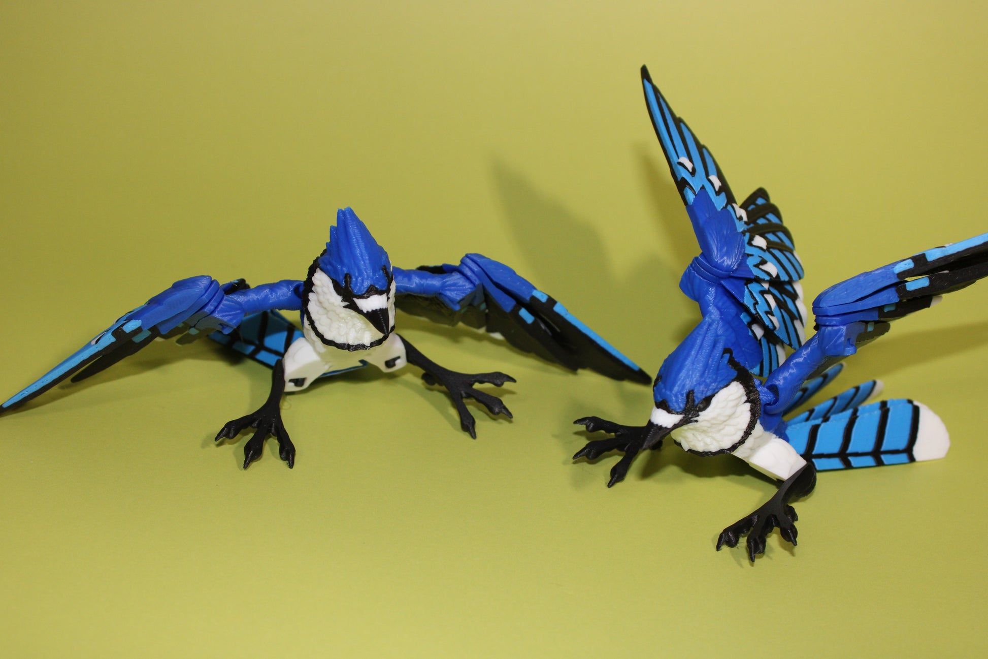 Blue Jay 5 inches x 8 in wingspan-3D Printed Articulated Flexi Fidget Figurine - Wonderland 3D Printing 