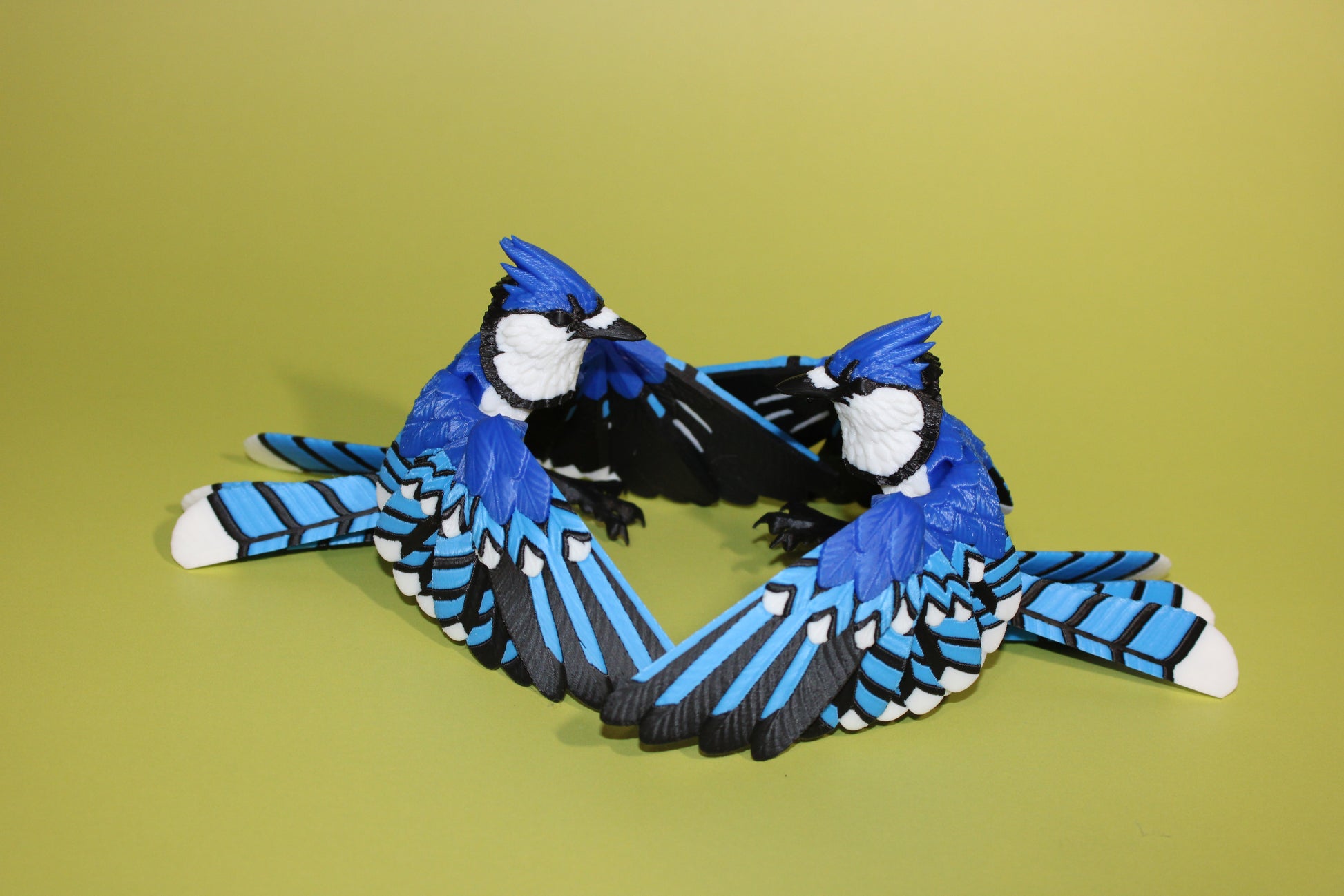 Blue Jay 5 inches x 8 in wingspan-3D Printed Articulated Flexi Fidget Figurine - Wonderland 3D Printing 