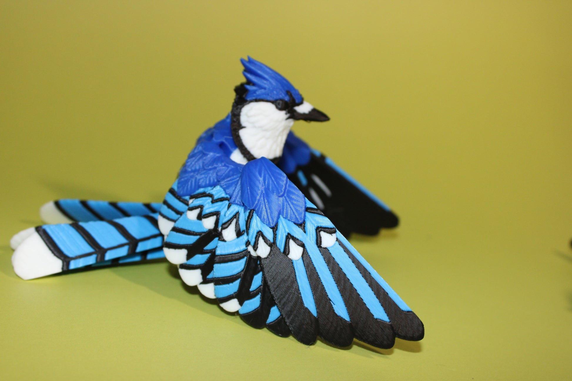 Blue Jay 5 inches x 8 in wingspan-3D Printed Articulated Flexi Fidget Figurine - Wonderland 3D Printing 