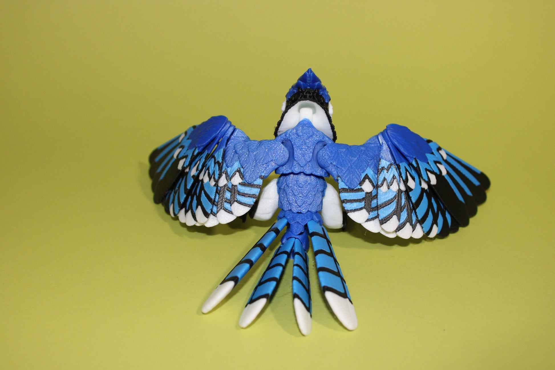 Blue Jay 5 inches x 8 in wingspan-3D Printed Articulated Flexi Fidget Figurine - Wonderland 3D Printing 