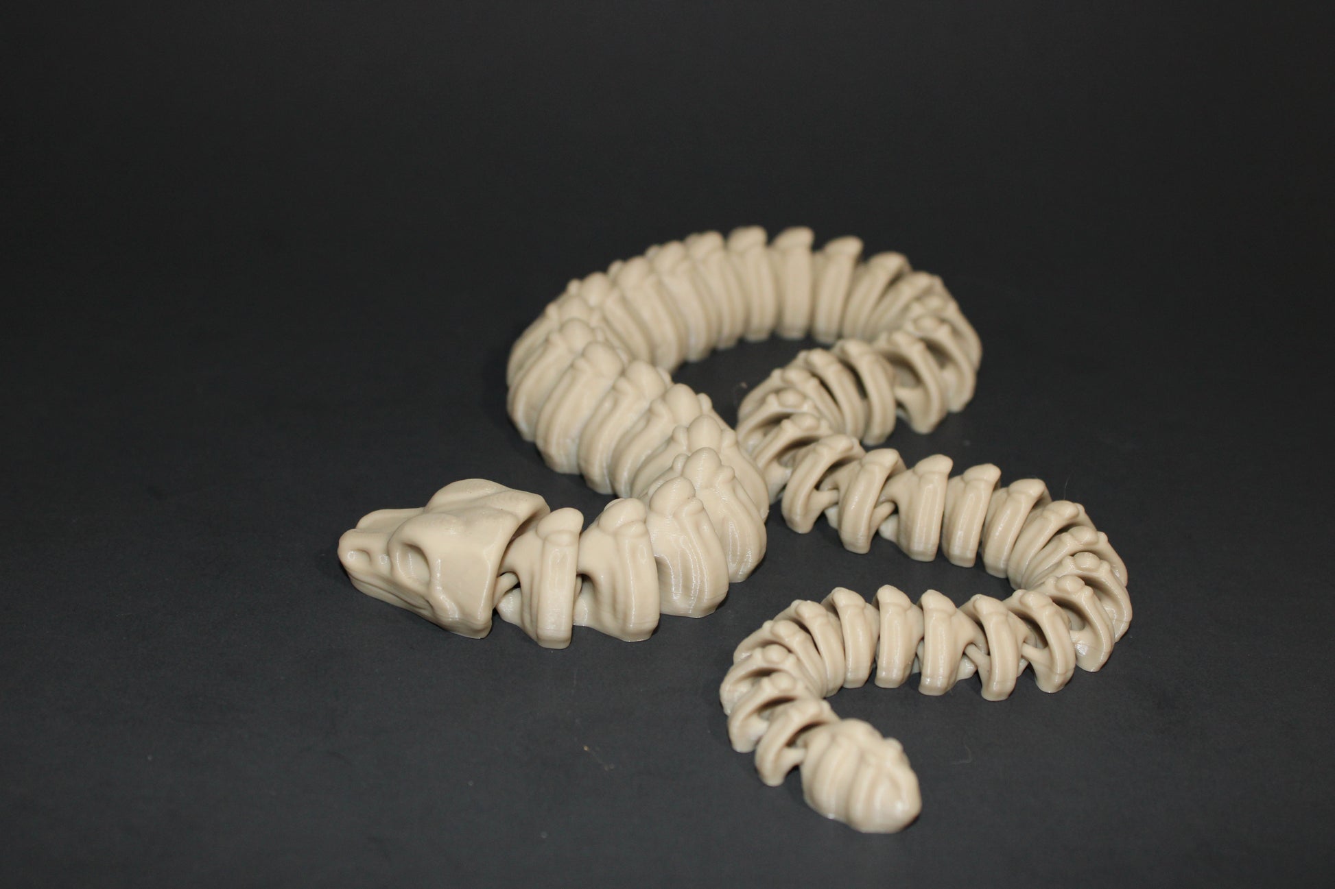 Skeleton Editions-3D Printed Articulated Fidget Toys-Variety to Choose From - Wonderland 3D Printing 
