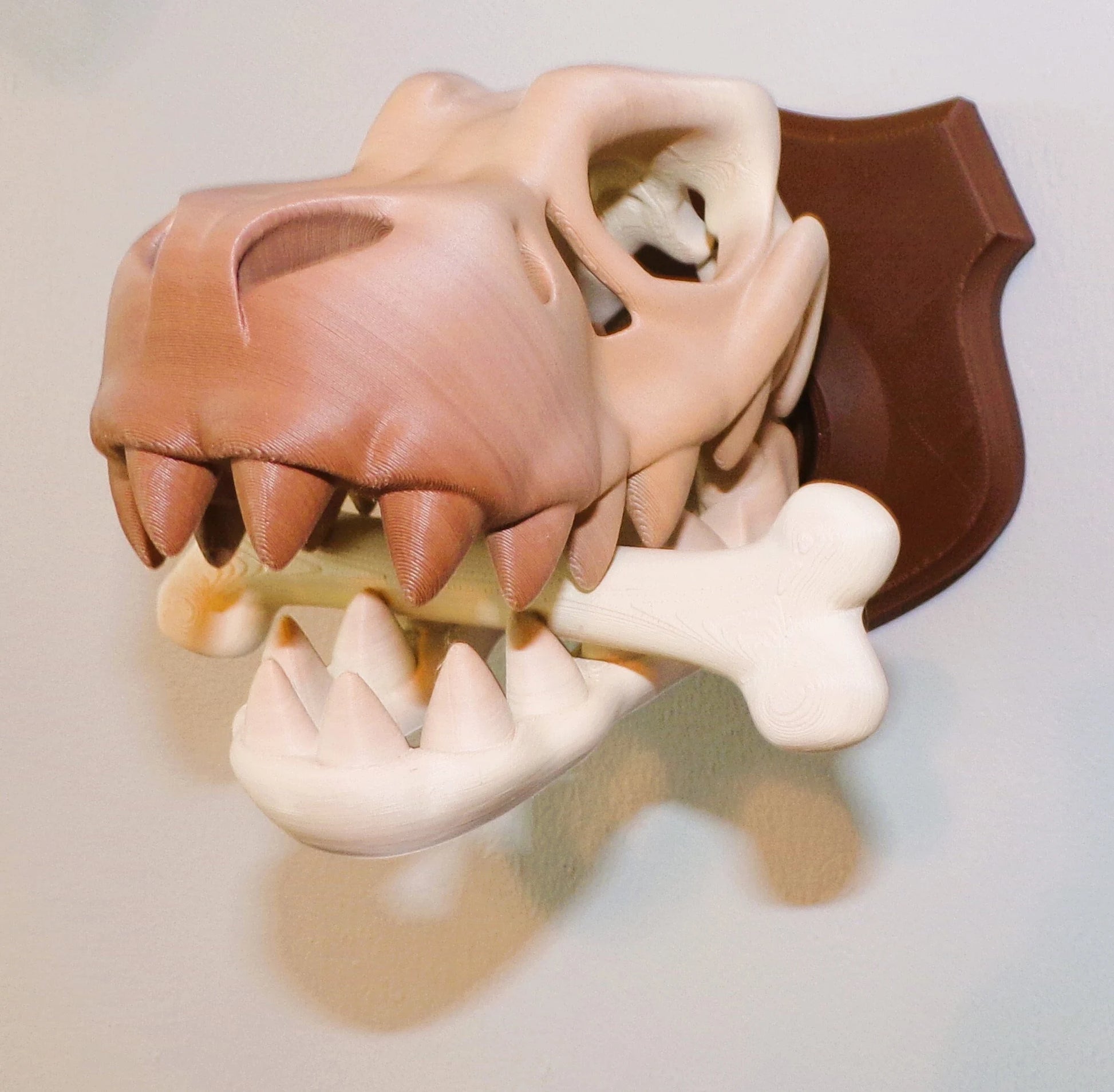 T-Rex Skull Plaque: 3D Printed - Wonderland 3D Printing 