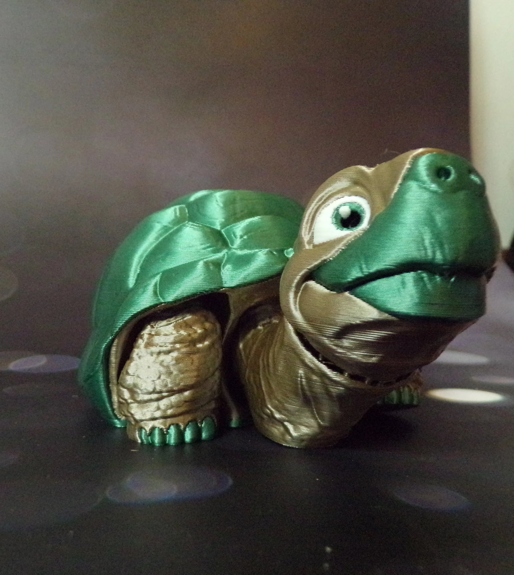 Tortoise - Wonderland 3D Printing 