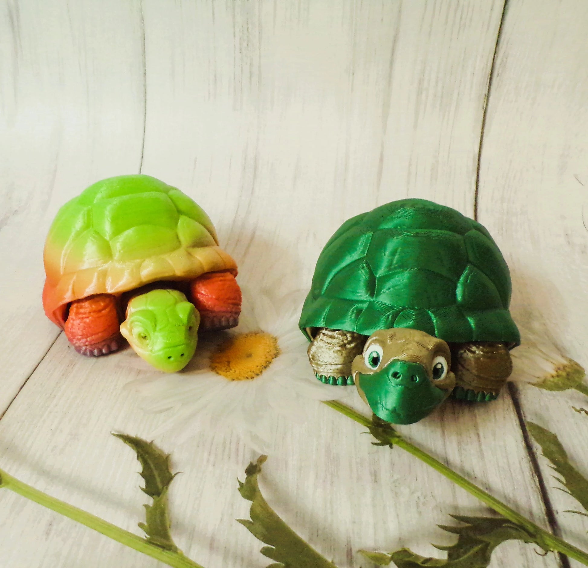 Tortoise - Wonderland 3D Printing 