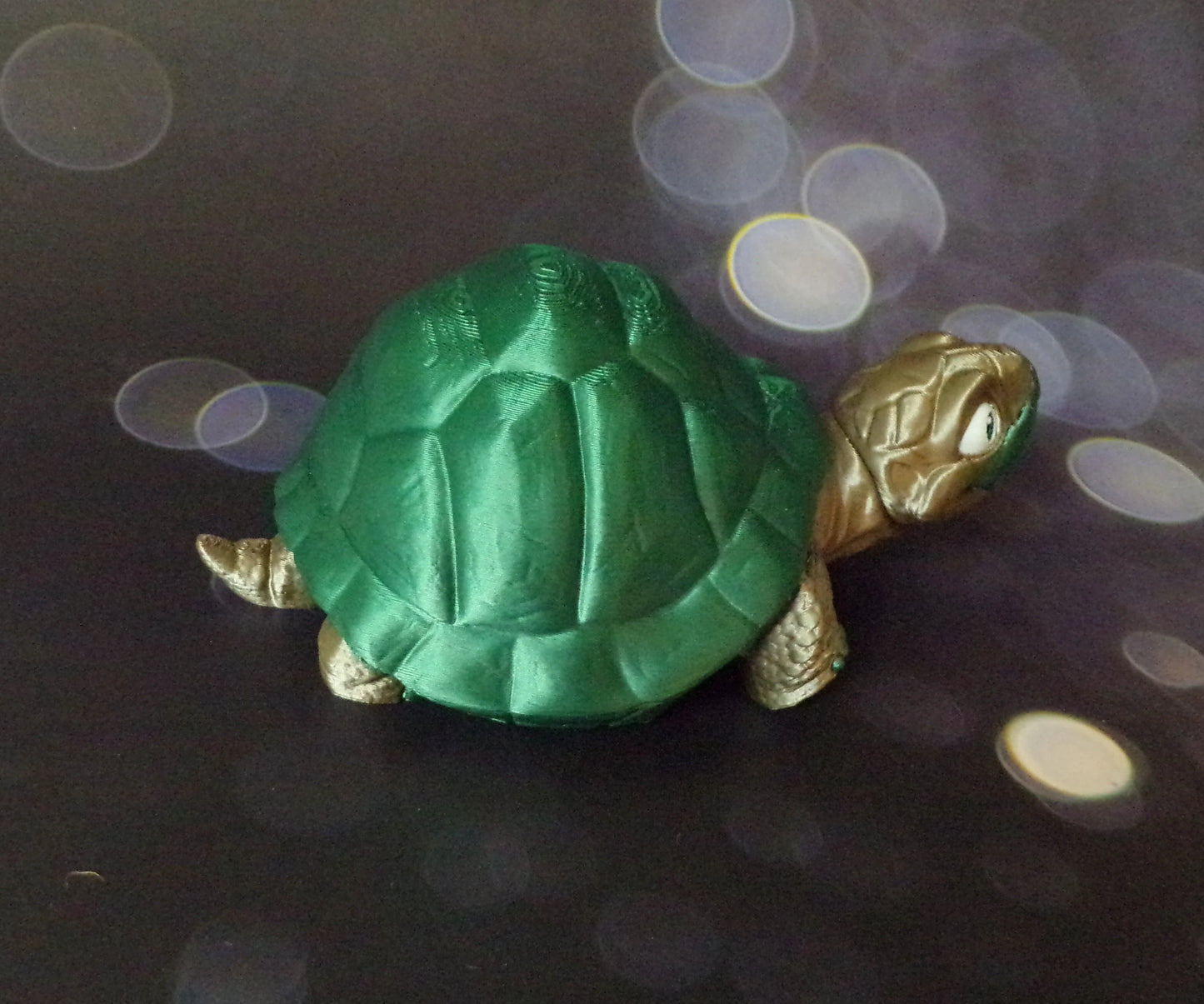 Tortoise - Wonderland 3D Printing 