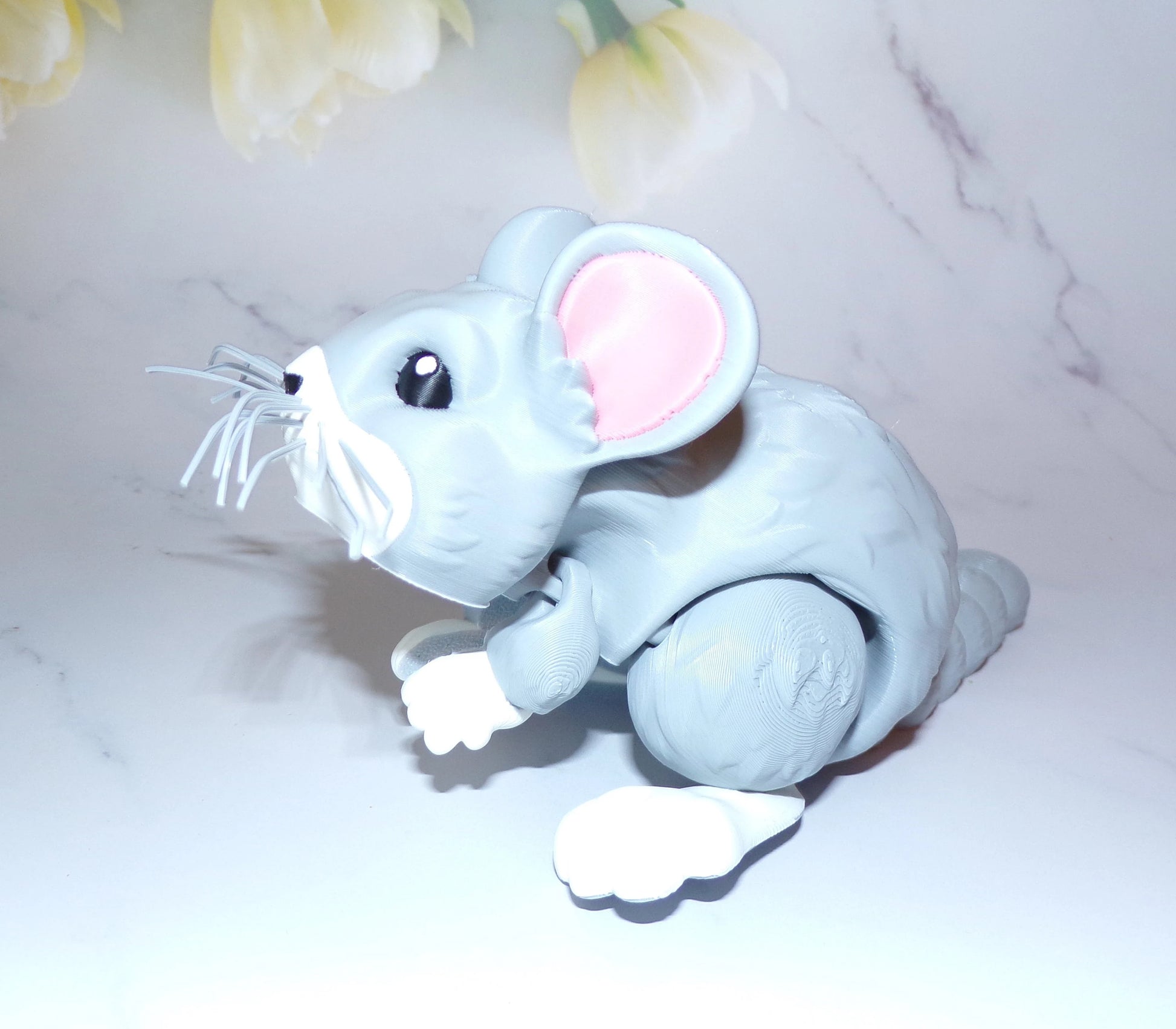 Chinchilla - Wonderland 3D Printing 