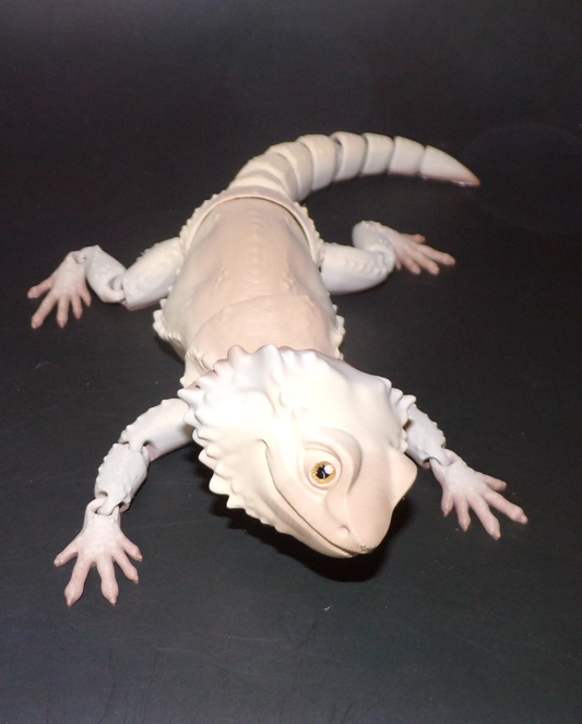 Bearded Dragon: 3D Printed - Wonderland 3D Printing 