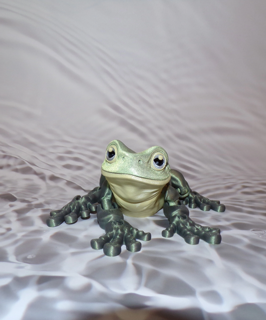 Whites Tree Frog: 3D Printed Articulated - Wonderland 3D Printing 